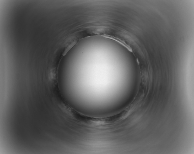 X0000089670284200707051554