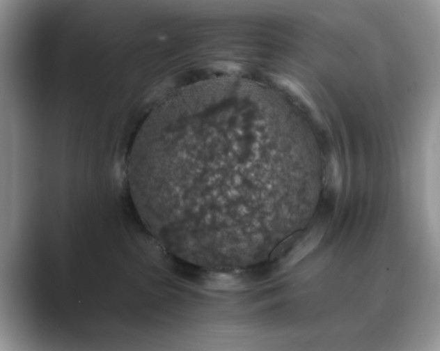 X0000089670285200707051554