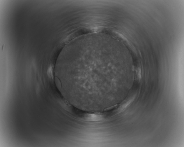 X0000089670286200707051554