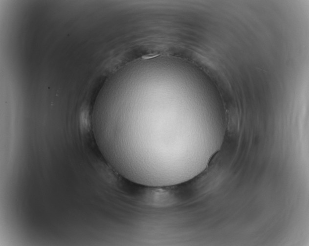 X0000089670287200707051554
