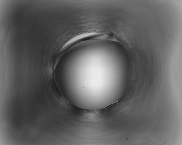 X0000089670288200707051554