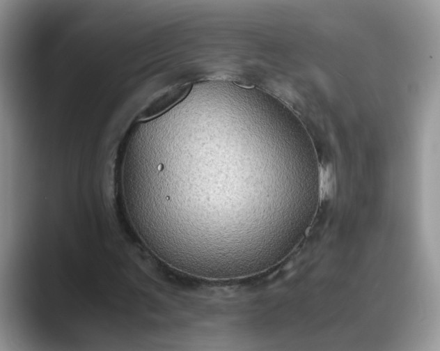 X0000089670291200707051553