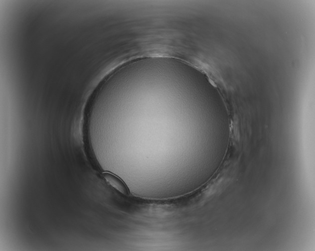 X0000089670292200707051553