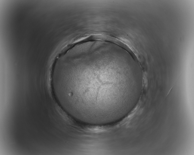 X0000089670293200707051553