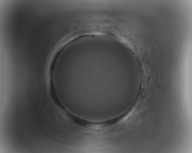 X0000089670295200707051553