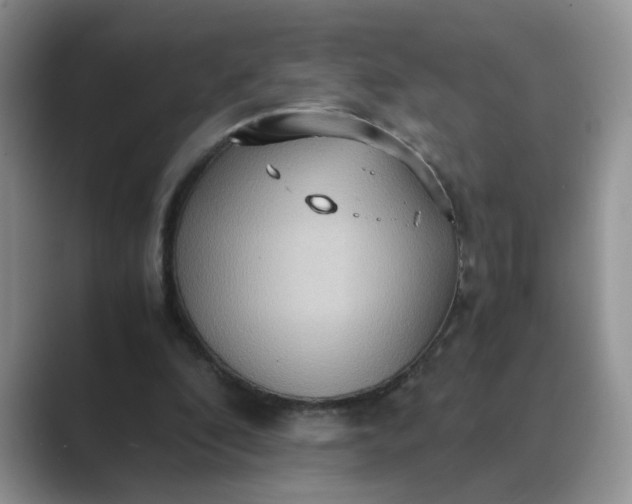X0000089670296200707051553