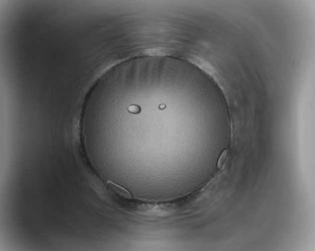 X0000089670297200707051553