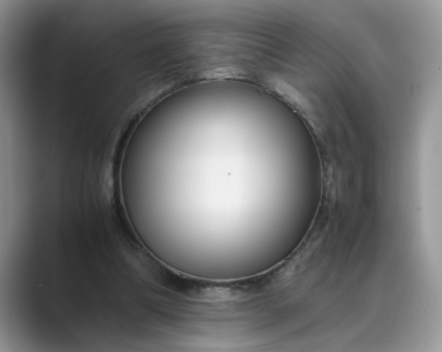 X0000089670298200707051553