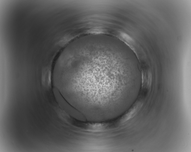 X0000089670301200707051553