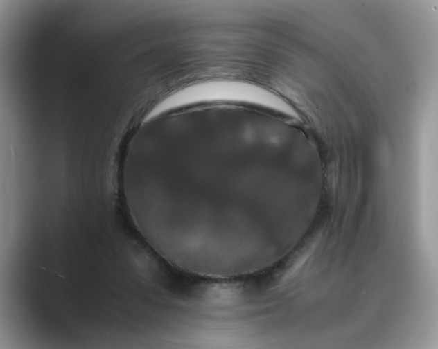 X0000089670303200707051553