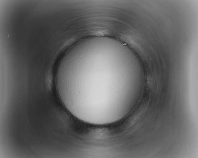 X0000089670304200707051553