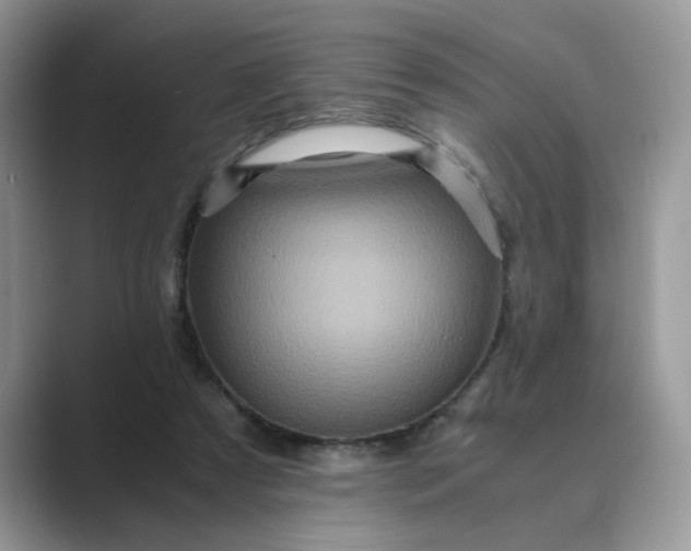 X0000089670305200707051553