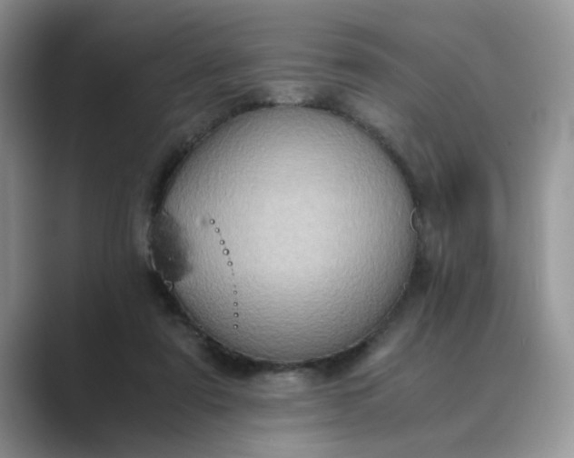 X0000089670307200707051553