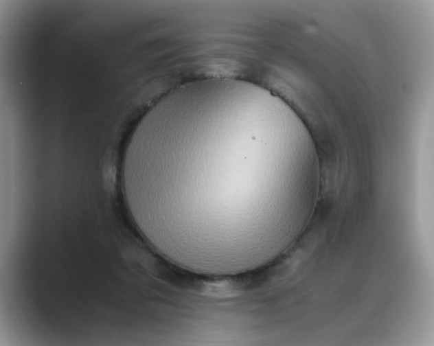 X0000089670309200707051553