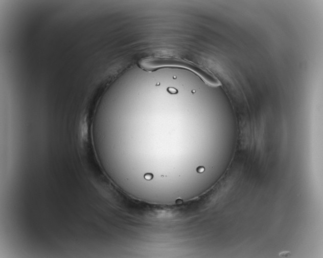 X0000089670310200707051553