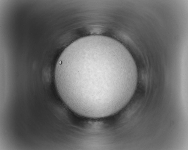 X0000089670311200707051553