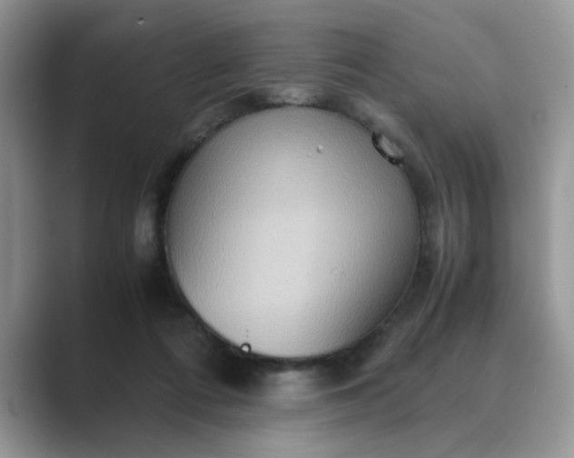 X0000089670312200707051553