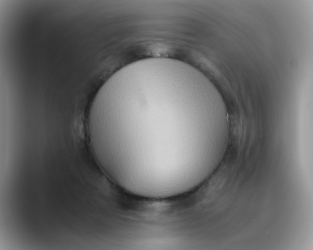 X0000089670313200707051553