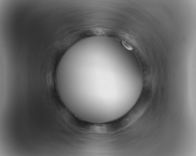 X0000089670317200707051553