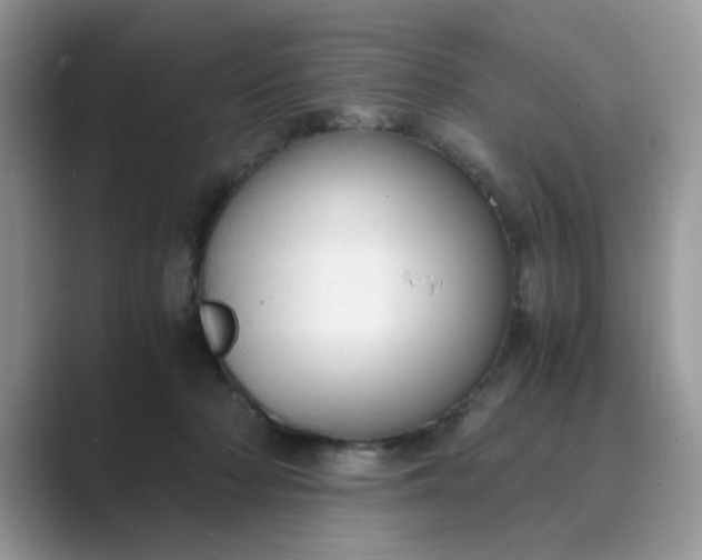 X0000089670318200707051553
