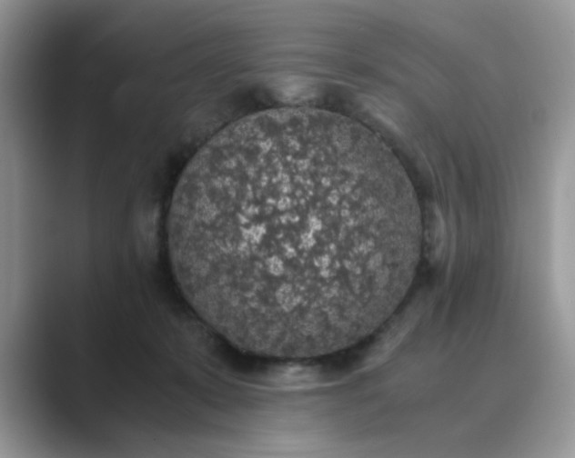 X0000089670319200707051553