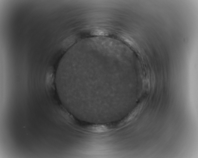 X0000089670322200707051553
