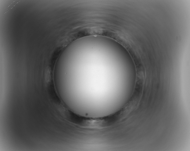 X0000089670323200707051553