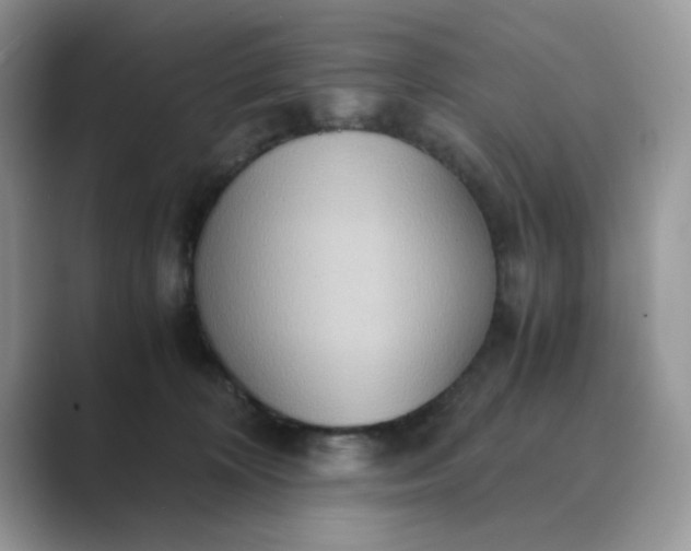 X0000089670324200707051553