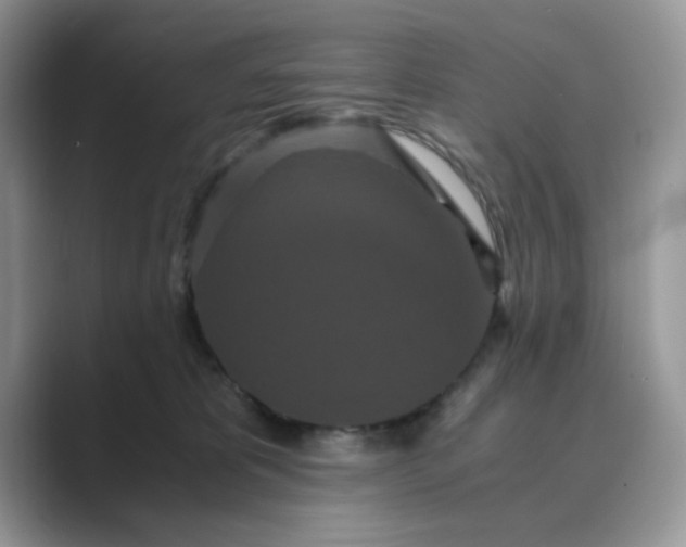 X0000089670325200707051553