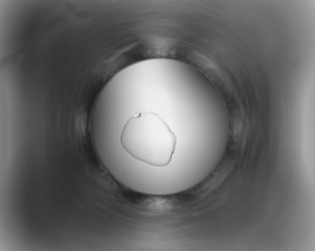 X0000089670326200707051553