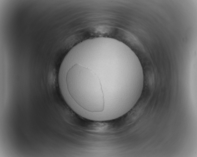 X0000089670328200707051553