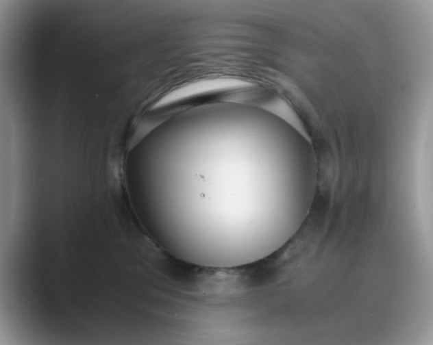 X0000089670329200707051553
