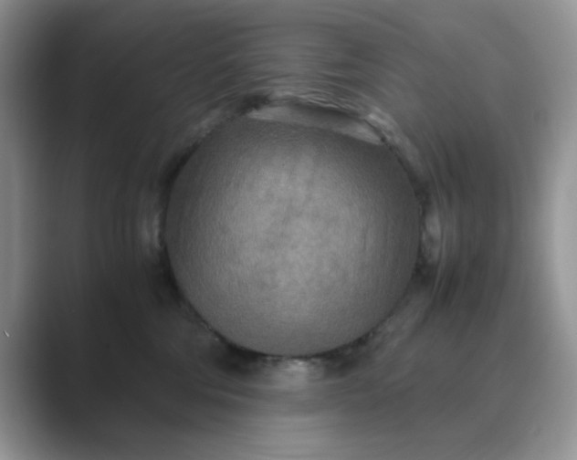 X0000089670330200707051553