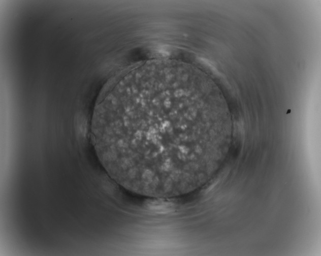 X0000089670331200707051553