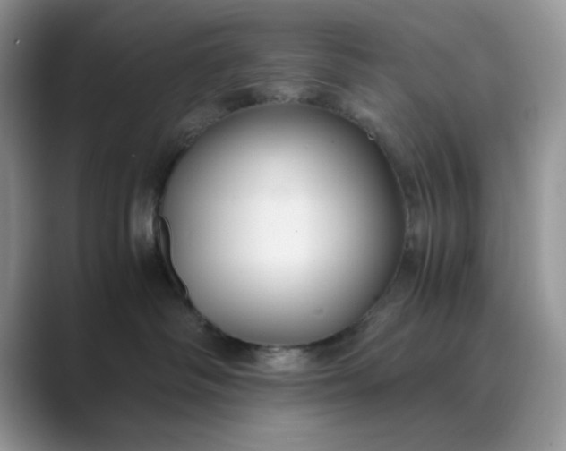 X0000089670334200707051553