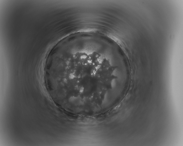 X0000089670337200707051552