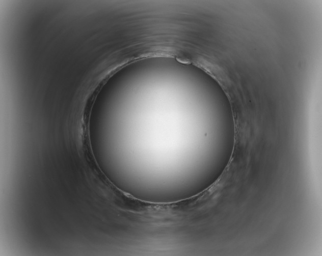 X0000089670338200707051552