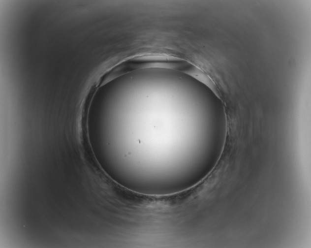 X0000089670340200707051552