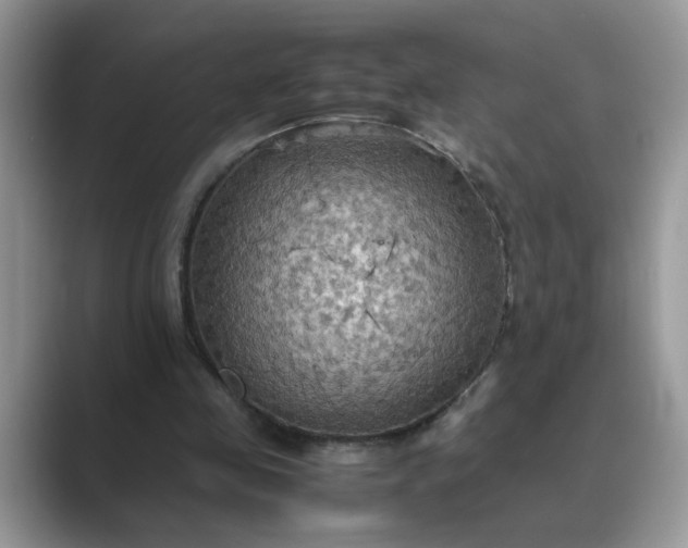 X0000089670341200707051552