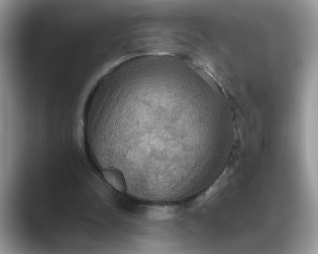 X0000089670342200707051552