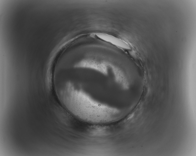 X0000089670343200707051552