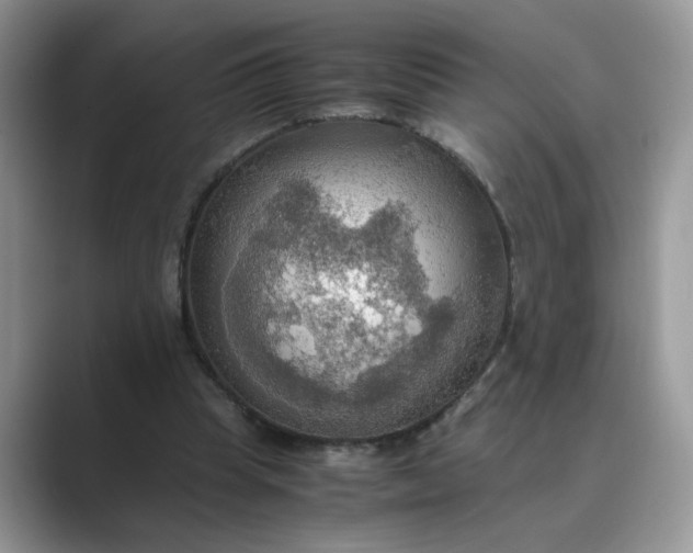 X0000089670345200707051552