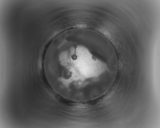 X0000089670347200707051552