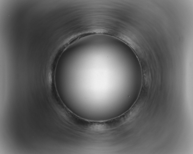 X0000089670350200707051552