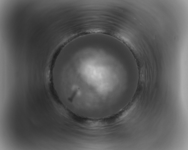 X0000089670351200707051552