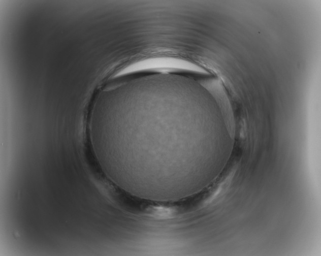 X0000089670352200707051552