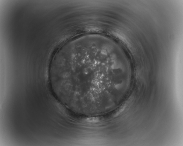 X0000089670353200707051552