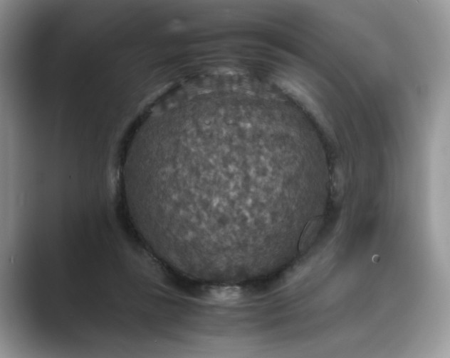 X0000089670355200707051552