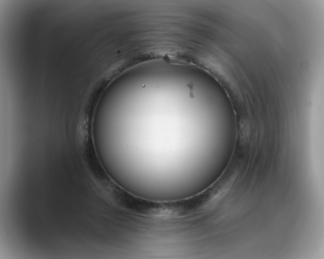 X0000089670356200707051552