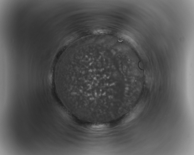 X0000089670357200707051552